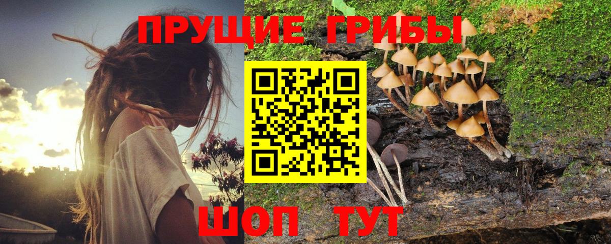 Псилоцибиновые грибы мухоморы Семилуки